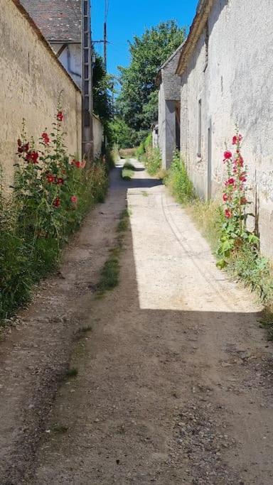 Belle Dans Corps De Ferme - Alicia * Villiers-sous-Grez